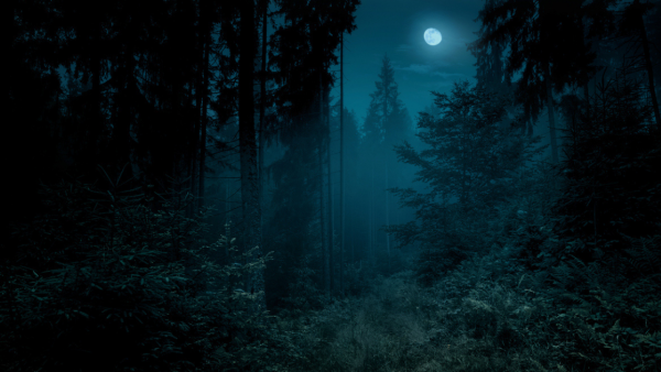 男子森林失蹤19天堅稱自己迷路2天！網民不安：迷失時空隧道？