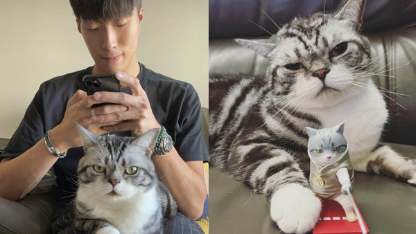 貓奴張家朗鍾情6歲美短尊稱「大佬」 精叻Zimba幫奴才做專屬模特兒
