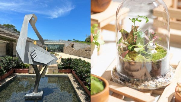 香港濕地公園8月免費開放！限定一日！多個免費工作坊 親手製作盆栽！