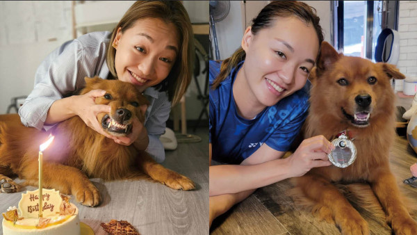 謝影雪趁愛犬7歲生日乘機自肥 唐狗啤啤超可愛：領養不棄養