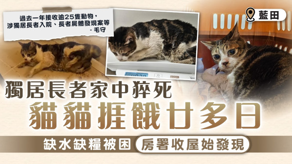 藍田獨居長者家中猝死貓貓捱餓廿多日 缺水缺糧被困房署收屋始發現