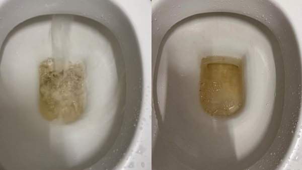 沙田/大圍/馬鞍山等屋苑廁所水變黃！逾百居民呻「又黃又臭」水務署回應解畫