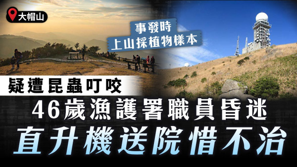 蟲咬致命｜疑遭昆蟲叮咬46歲漁護署職員大帽山昏迷 直升機送院惜不治