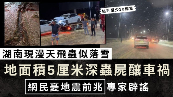 自然異象｜湖南現漫天飛蟲似落雪 地面積5厘米蟲屍釀車禍 網民憂地震前兆專家辟謠