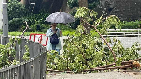 颱風塔巴｜回顧近35年颱風「殺傷力」驚人！歷代最強颱風曾奪183人命