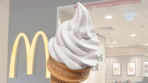 麥當勞送1萬杯新地筒！簡單4步拎免費雪糕食