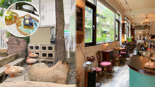 台南文青深度遊行程│復古歐風／水豚cafe／大型文創展