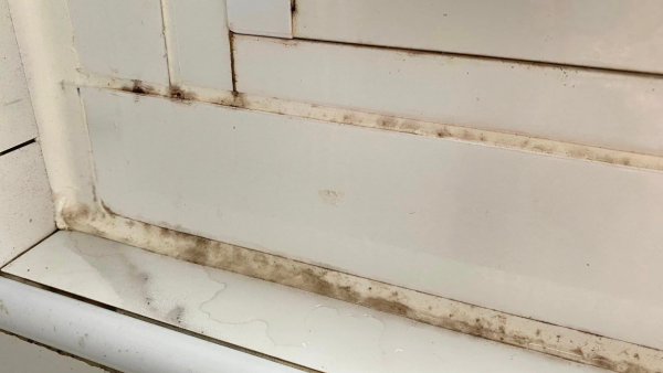 浴室牆身易發霉 沖涼後即開窗無助通風 日本家務專家教正確除濕防霉