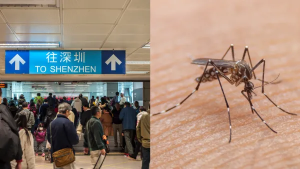 北上注意｜深圳登革熱疫情上升！呼籲市民國慶假期做好5點防範