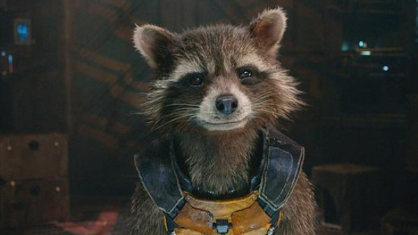 跑馬地現「浣熊」蹤跡？ 網民解答真身係果子狸：勿傻傻分不清