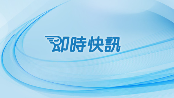 海關沙頭角破獲非法進口動物案 檢獲貓狗四隻 市值約十二萬