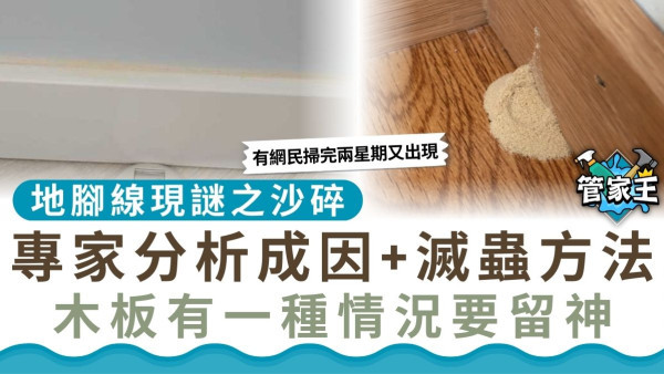 管家王 ︳地腳線現謎之沙碎 專家分析成因+滅蟲方法 木板有一種情況要留神