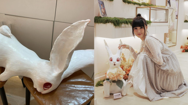 尖沙咀K11 MUSEA商戶$3.8萬兔仔展品被弄斷！閉路電視片段揭真相 店方超心痛