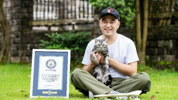 有片｜貓咪踩滑板破世界紀錄 網民感嘆：貓都滑得比我好！