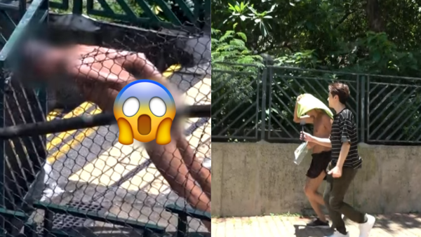 李鄭屋邨驚現大叔露臀全裸曬太陽 主持狂追來回跑足10次：佢好似體力無限