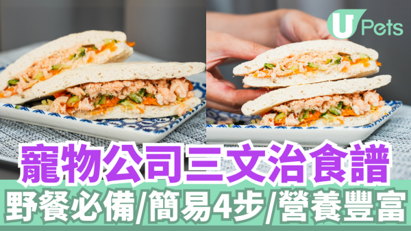 寵物公司三文治｜寵物鮮食食譜／野餐必備／營養豐富