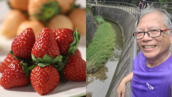 稱士多啤梨「唔食最好」 K.KWONG拆解內情！附6招有效清洗方法