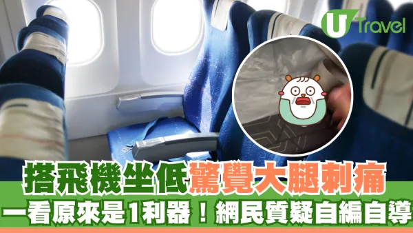 搭飛機坐低驚覺大腿刺痛 一看原來是1利器！網民質疑自編自導