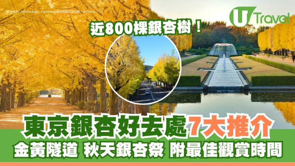 東京賞銀杏指南！2026最新銀杏時間表/見頃預測！7大必去景點、交通路線賞盡金黃秘境