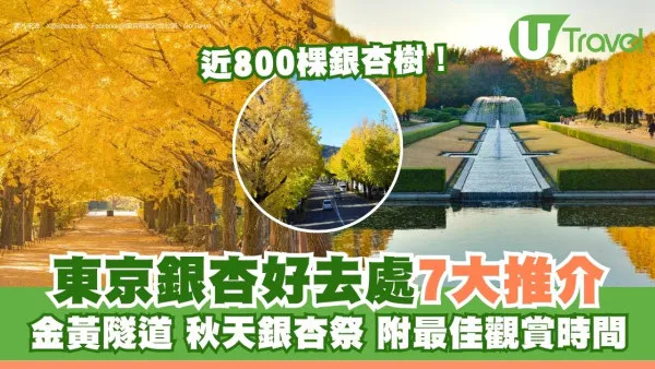 東京賞銀杏指南！2026最新銀杏時間表/見頃預測！7大必去景點、交通路線賞盡金黃秘境
