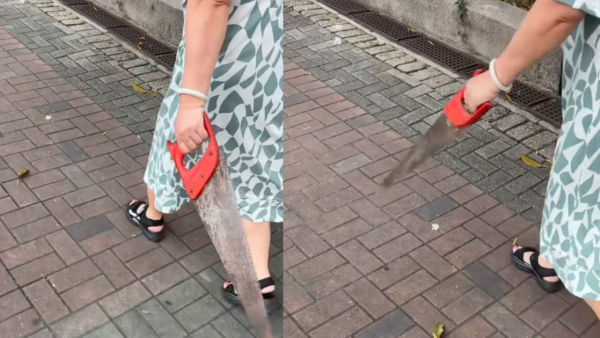 香港街頭大媽手持生鏽利鋸揈嚟揈去！嚇窒途人：差啲被劈到