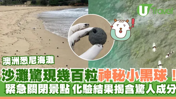 澳洲沙灘驚現幾百個神秘小黑球！緊急關閉景點 化驗結果揭含驚人成分