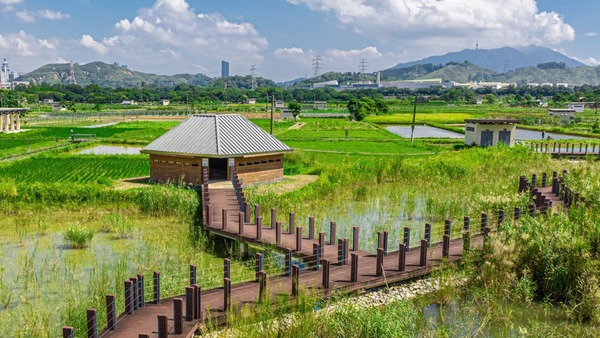 上水塱原自然生態公園開幕！公眾可免費觀賞雀鳥／探訪農業區及生態區（附交通詳情）