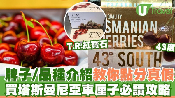 澳洲塔斯曼尼亞車厘子入手攻略！甜度/當造時間/點分真假貨？43度、金袋鼠、紅寶石