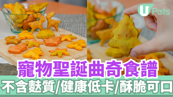 寵物聖誕曲奇｜應節必備！不含麩質／酥脆可口