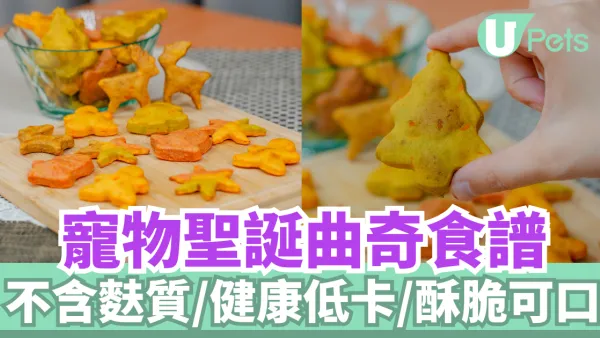 寵物聖誕曲奇｜應節必備！不含麩質／酥脆可口