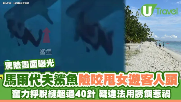 馬爾代夫鯊魚險咬甩中國女遊客人頭驚險影片曝光 疑違法用誘餌惹禍