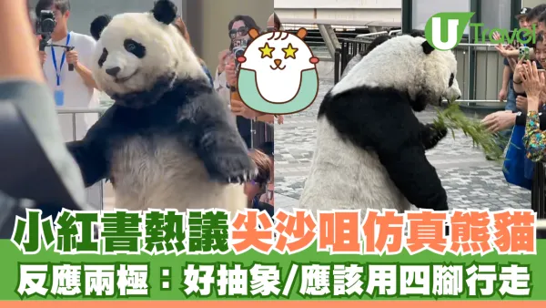小紅書熱議尖沙咀仿真熊貓 反應兩極：好抽象/應該用四腳行走