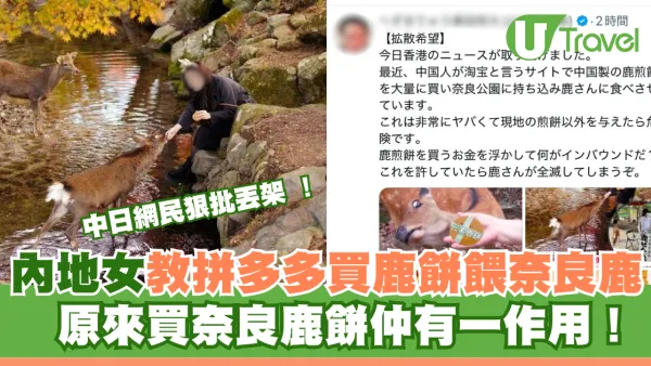 內地女教拼多多買平價鹿餅餵奈良鹿 內地網民狠批丟架 原來買奈良鹿餅仲有一作用！
