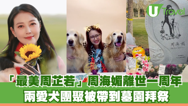 「最美周芷若」周海媚離世一周年 兩愛犬團聚被帶到墓園拜祭