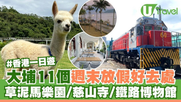 大埔11個週末放假好去處 親子草泥馬樂園/朝聖慈山寺/文青打卡鐵路博物館