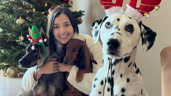 謝嘉怡兩愛犬散步慘遭毒害 IG悲痛發長文怒斥兇手冇人性