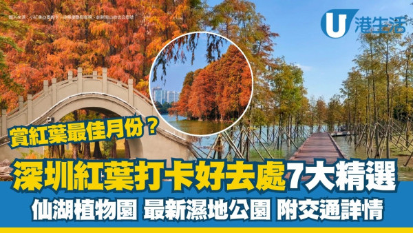 深圳紅葉｜賞紅葉最佳月份！深圳賞紅葉打卡好去處7大精選附交通方法