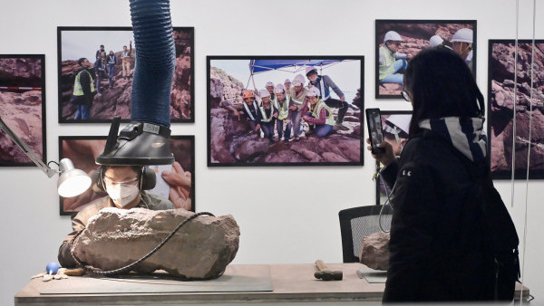 文物探知館「恐龍會客室」開幕 恐龍化石展出+近距離睇專家清修化石