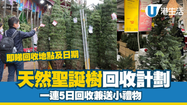 環保署天然聖誕樹回收再造計劃 參加者有證書小禮物附回收地點日期
