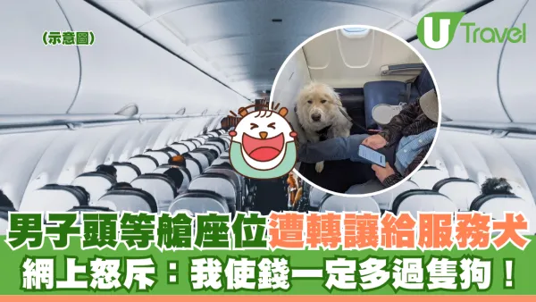 男子頭等艙座位遭轉讓給服務犬 網上怒斥：我使錢一定多過隻狗！