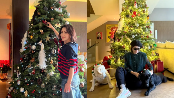 劉嘉玲IG曬靚相曝光半山豪宅 呢幅名畫價值千萬？兩米高聖誕樹擺超多名牌紙袋禮盒