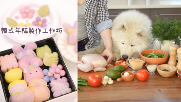 愛協推寵物韓式年糕製作工作坊 與你愛寵一同參與年糕製作