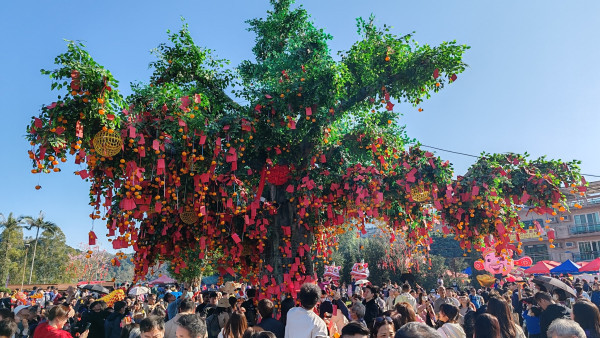 香港許願節2025｜大埔林村許願節年初一回歸！拋寶牒/放蓮花燈！一連7日許願夜市發光許願樹