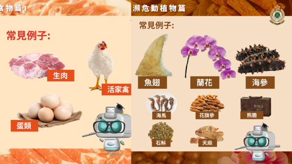 北上辦年貨注意! 十大入境香港物品限制 食米超過呢個重量要申報