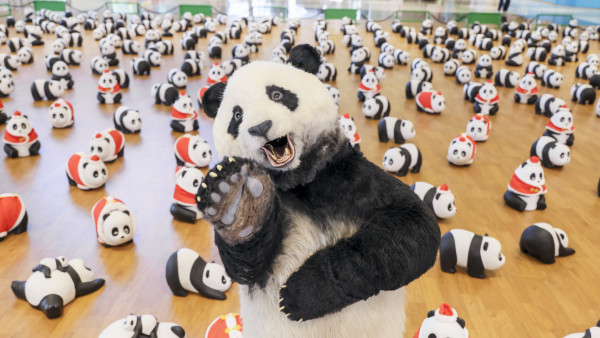 PANDA GO 香港遊︱新年熊貓展覽《PANDA GO! 香港遊》登陸荃灣！800隻熊貓齊賀新年／熊貓藝術樂園主題體驗
