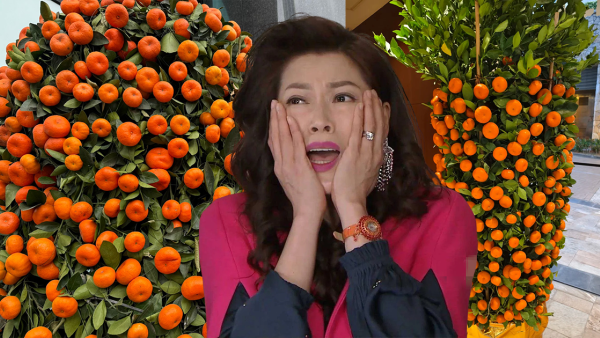 香港大學擺年桔增新年氣氛！幾日後驚現慘況網民無語：我公司門口都係咁