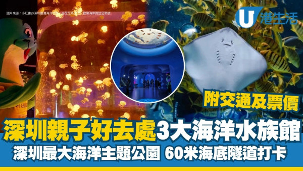 深圳海洋水族館3大推介 海底隧道打卡/海獅表演/全國最大圓柱展缸