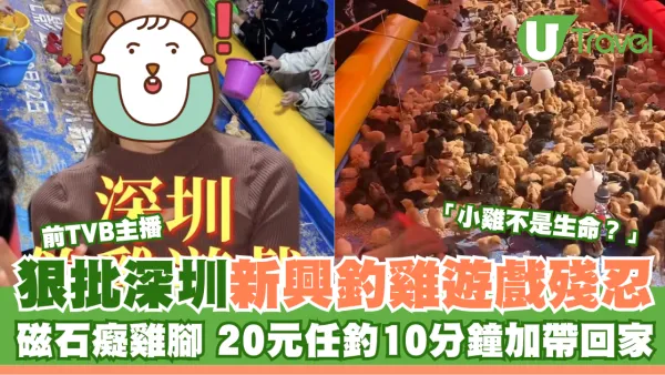 前TVB主播狠批深圳新興釣雞遊戲 20元任釣10分鐘仲可帶回家引網民熱議