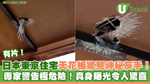 日本東京住宅天花板驚見神秘灰手！專家警告極危險！真身曝光令人驚喜