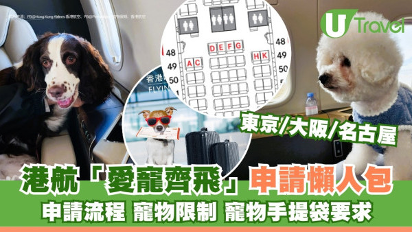 寵物旅遊申請懶人包︱香港航空寵物同機同艙飛日本 申請流程+收費+限制要求 